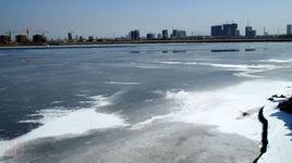 萊州河套濕地公園 萊州河套濕地公園