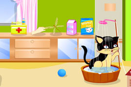 照顧可愛小貓咪 照顧可愛小貓咪