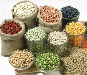 豆類毒素 豆類毒素