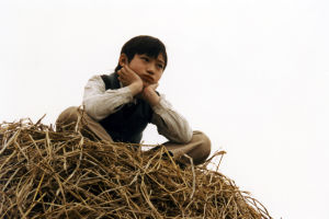 電影《牽牛花》劇照