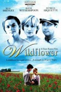 野花[黛安娜-卡特執導影片]