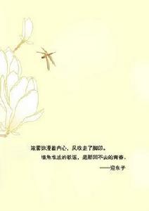 一段人生 一段人生