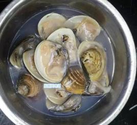 醃製生蛤蜊 醃製生蛤蜊