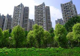 房地產獵頭公司 房地產獵頭公司