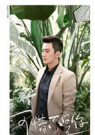 可惜不是你[2017年英英鹿執導的電視劇]