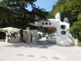 熊貓谷[陝西佛坪熊貓谷]