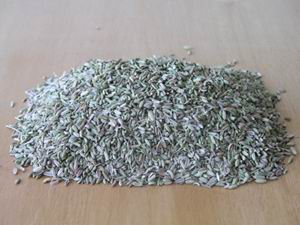 海原小茴香 海原小茴香