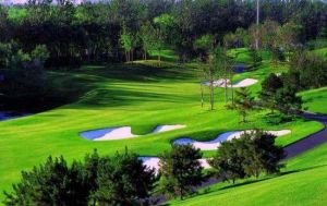 阿羅馬高爾夫俱樂部 阿羅馬高爾夫俱樂部