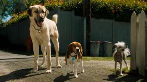 《貓狗大戰》[美國2001年勞倫斯·加特曼執導喜劇電影]