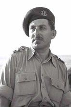 情報部長哈伊姆·赫爾佐格