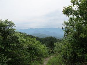 下神祝村 下神祝村