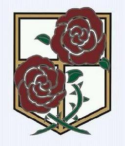 駐紮兵團 駐紮兵團