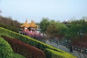 湛河公園 湛河公園