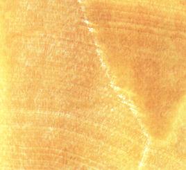 橙玉-純色 橙玉-純色