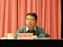 沙維偉[江蘇省民政廳副廳長]