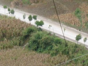 芹菜溝村 芹菜溝村