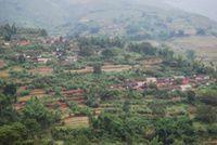 大文竹村 大文竹村