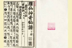 《神奇秘譜》 《神奇秘譜》