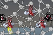 貪婪的蜘蛛選關版