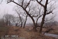 2014年的檀樹崗街道（方氏吊橋攝）