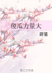 傻瓜力量大 傻瓜力量大