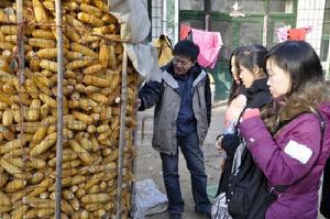 實地考察小額信貸扶貧助農情況