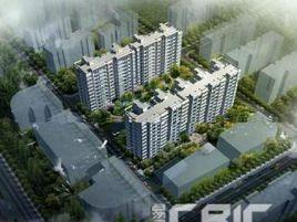 金田雅居 金田雅居