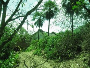 瓦尼吾村 瓦尼吾村