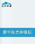 黑中白之神級玩家 黑中白之神級玩家