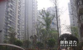 陽光碼頭 陽光碼頭