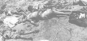 （圖）阿薩姆邦地震