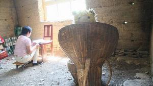 （圖）山丹丹計畫