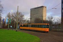 伊拉斯謨[荷蘭鹿特丹大學]