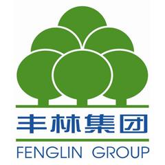 廣西豐林木業集團股份有限公司 廣西豐林木業集團股份有限公司