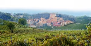 特奧科斯塔酒莊 特奧科斯塔酒莊