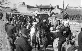 平度戰役 平度戰役