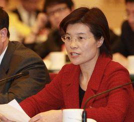 陳麗芬[江蘇陽光股份有限公司董事長]