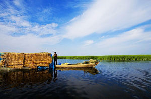 烏梁素海 烏梁素海