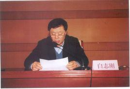 白志剛[鐵人三項運動員]