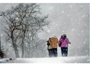 周惠民[福建省柘榮縣新華書店副經理]