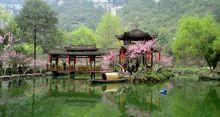桃花源景區[重慶酉陽桃花源景區]