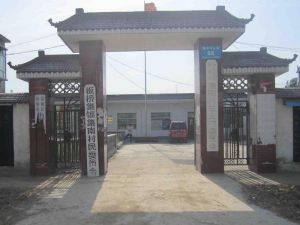 新集南村 新集南村