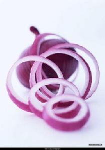 洋蔥王子 洋蔥王子