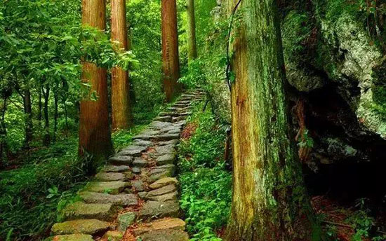 國內最清涼的25個避暑聖地,這才是七八月該去的地方!是時候挑一個出發了