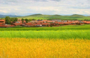 內蒙古錫林郭勒草原自然保護區 內蒙古錫林郭勒草原自然保護區