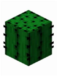 仙人掌[遊戲Minecraft中的一種植物方塊]