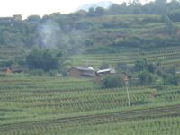 同邑一自然村 同邑一自然村