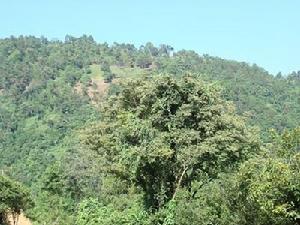 霧南崗村 霧南崗村