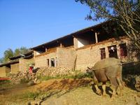 龍鼻村[雲南省文山州硯山縣乾河彝族鄉下轄村]