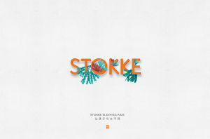 思拓科(上海)生物科技股份有限公司 思拓科(上海)生物科技股份有限公司